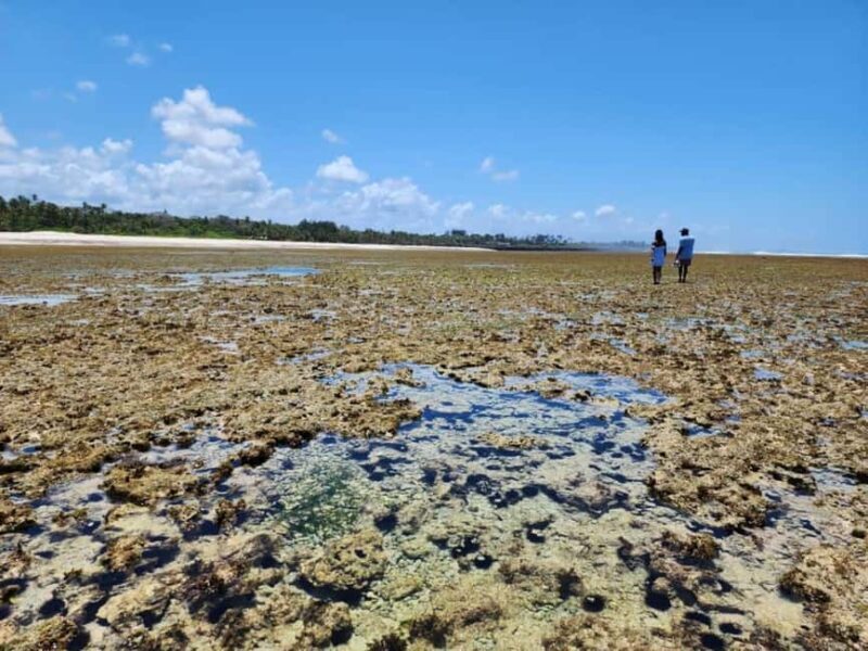 Diani: Snorkeling and Swimming at African Pool in Tiwi Beach - FAQ