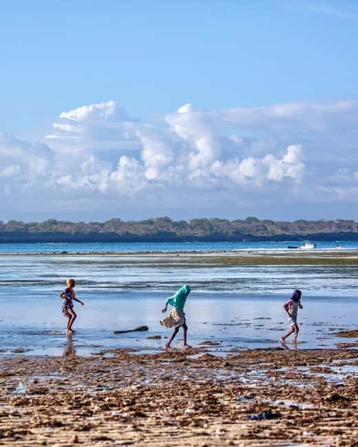 Diani: Wasini Island, Snorkeling & Shimoni Slave Caves Tour - Who Should Consider This Tour?