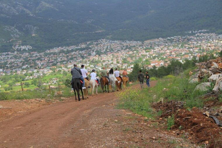 didim-horse-safari