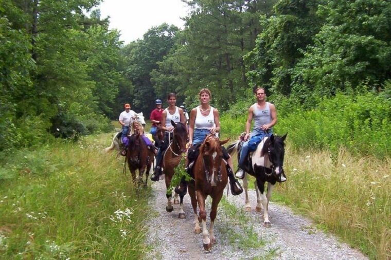 didim-horse-safari