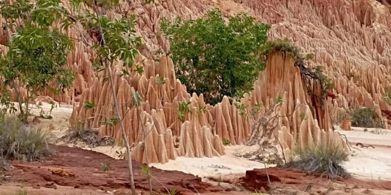 Diego Suarez (Antsiranana): Red Tsingy Half-Day Tour - Key Points