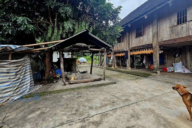 Dien Bien Phu Street Food Motorbike Adventure - The Value of This Experience