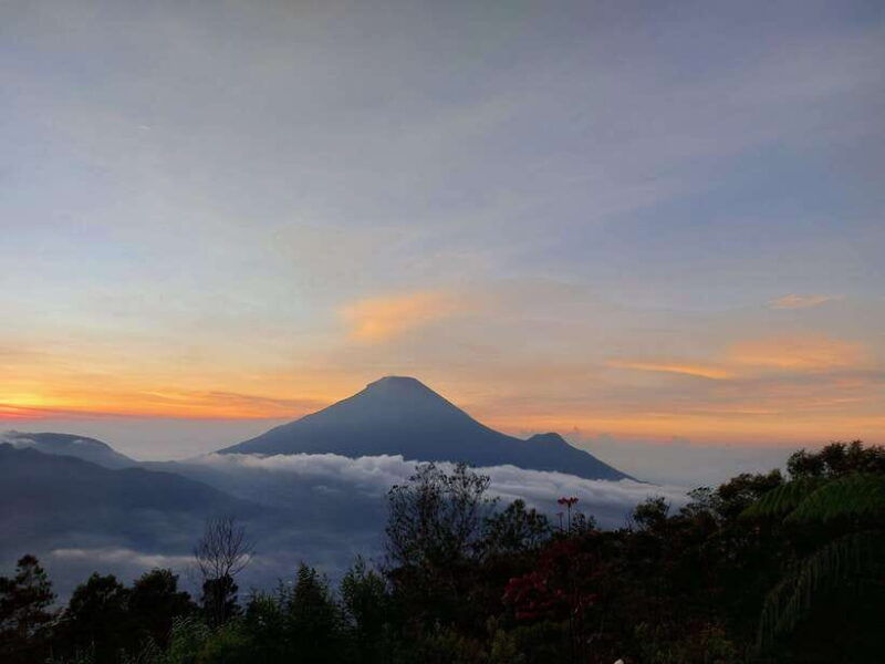dieng-plateau-sikunir-golden-sunrise-trip-with-guide