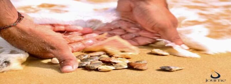 Dig, Discover & Dine  Jaffnas Coastal Clam Experience - Key Points