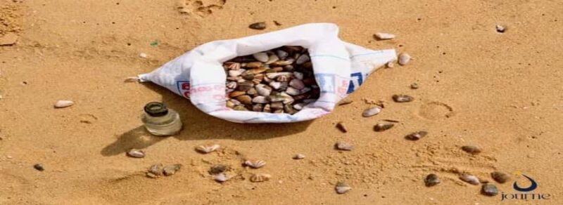 Dig, Discover & Dine  Jaffnas Coastal Clam Experience - A Genuine Taste of Jaffna’s Coastal Heritage