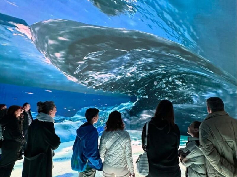 digital-experience-museum-skip-the-line-entry