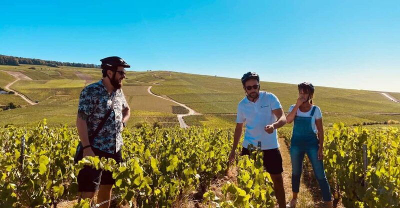 dijon-beaune-full-day-ebike-burgundy-tour-tastings-lunch