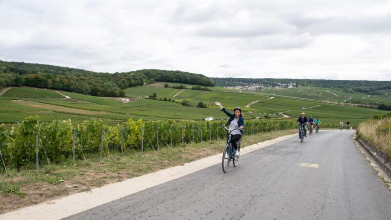 dijon-beaune-full-day-ebike-burgundy-tour-tastings-lunch
