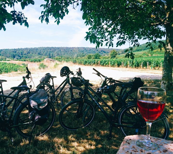 dijon-bike-tour-and-tastings-in-the-vineyards-of-burgundy