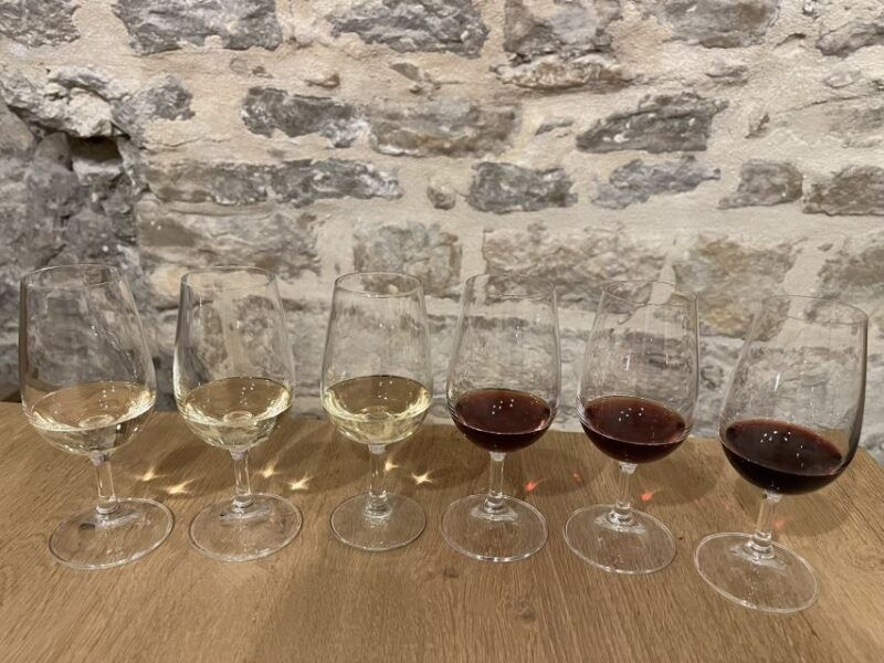 dijon-cheese-and-burgundy-wine-tasting-workshop