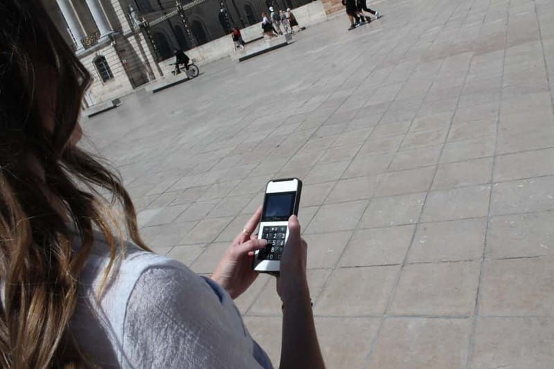 Dijon : City Walking Tour with Audio Guide (Office Tourisme) - Key Points  