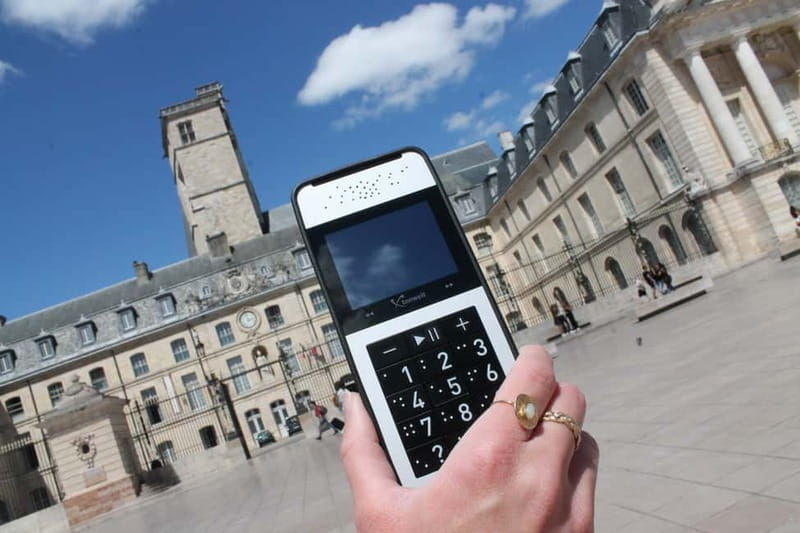 Dijon : City Walking Tour with Audio Guide (Office Tourisme) - Why It Works for Different Types of Travelers  