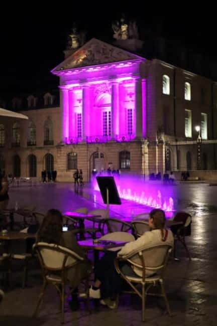 Dijon: Nighttime Tour in French - Who Will Love This Tour?