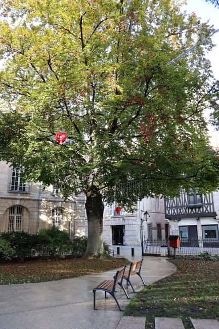 Dijon: Public Art Tour with French-Speaking Guide - Introduction: A Guided Walk Through Dijon’s Public Art Scene