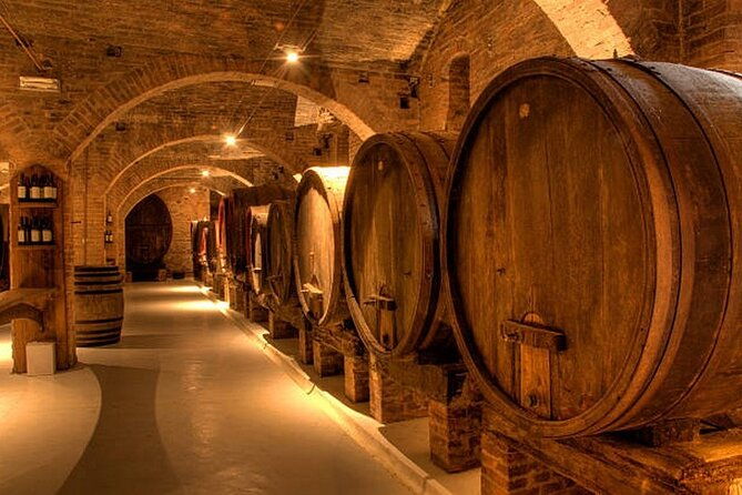 dijon-wine-tour-wine-tasting-included-professional-guide