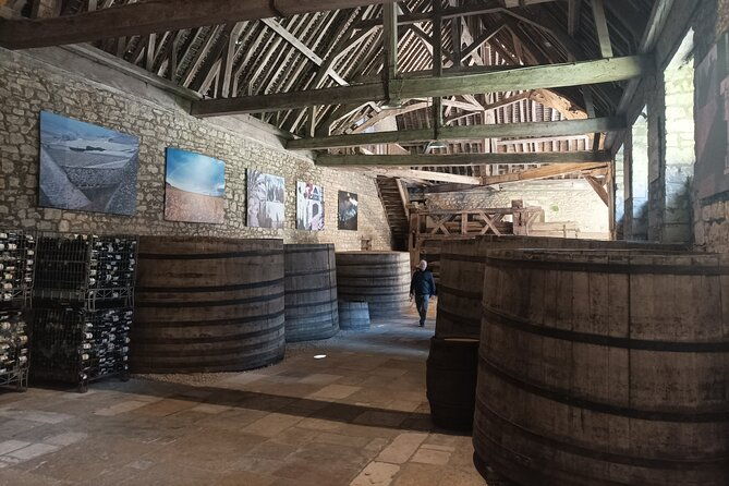 dijon-wine-tour-wine-tasting-included-professional-guide