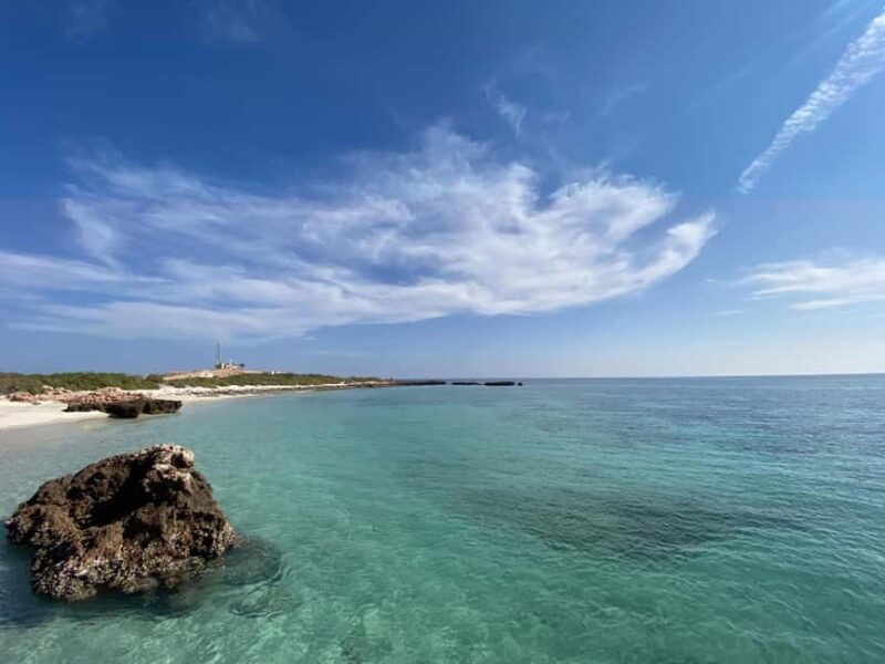 Dimaniyat Island: 5-Hour Snorkeling Adventure - Introduction: A Snorkeler’s Dream at Dimaniyat Island