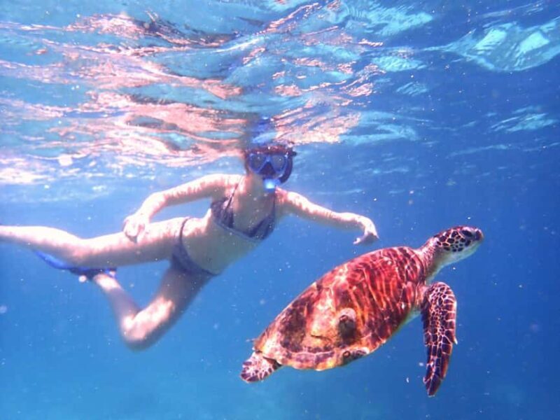 Dimaniyat Islands Snorkeling Trip - FAQ
