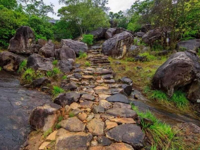 Dimbulagala Eco Trekking and Village Tour From Polonnaruwa - Key Points