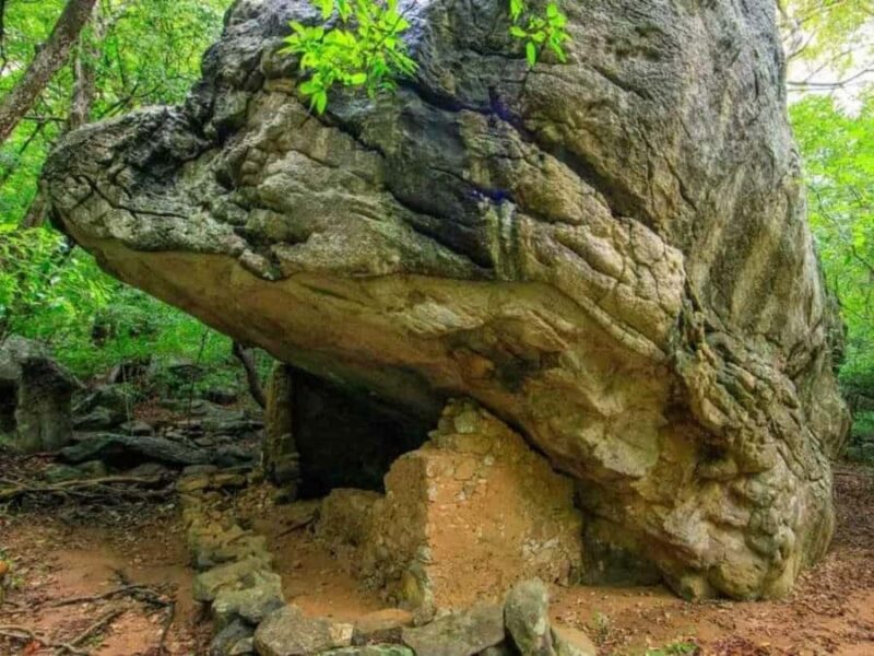 Dimbulagala Eco Trekking and Village Tour From Polonnaruwa - A Complete Review of the Dimbulagala Eco Trekking & Village Tour