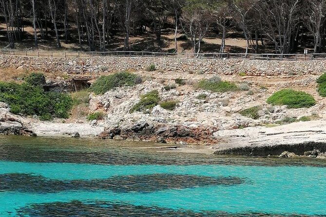 dinghy-excursion-to-the-egadi-islands-with-tasting-on-board