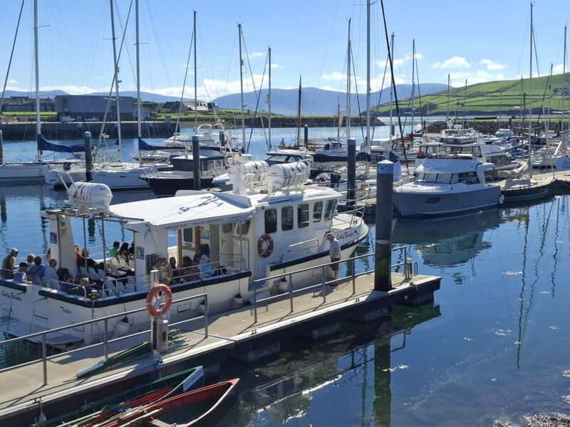 Dingle: Blasket Island Eco Tour with Wildlife Watching - The Guides and Commentary