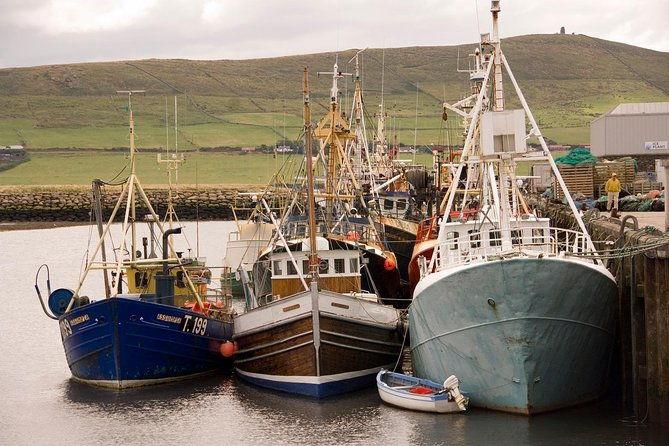 dingle-peninsula-day-tour-from-limerick-including-the-wild-altanic-way