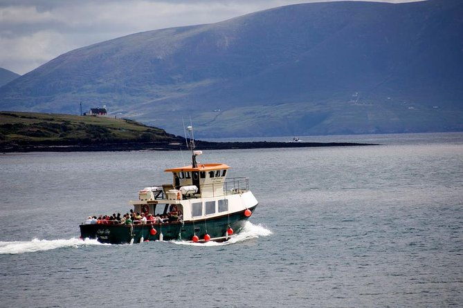 dingle-peninsula-day-tour-from-limerick-including-the-wild-altanic-way