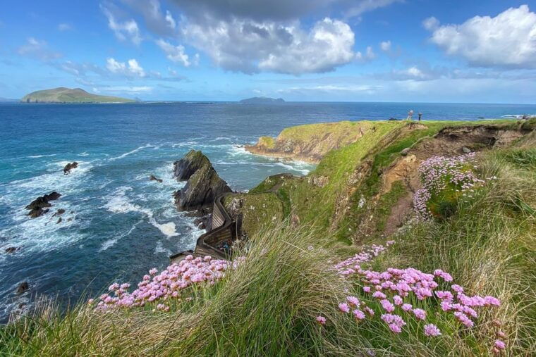dingle-slea-head-photo-and-sightseeing-tour