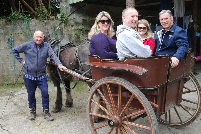 dingle-town-peninsula-private-chauffeur-driven-day-tour-from-killarney-luxury
