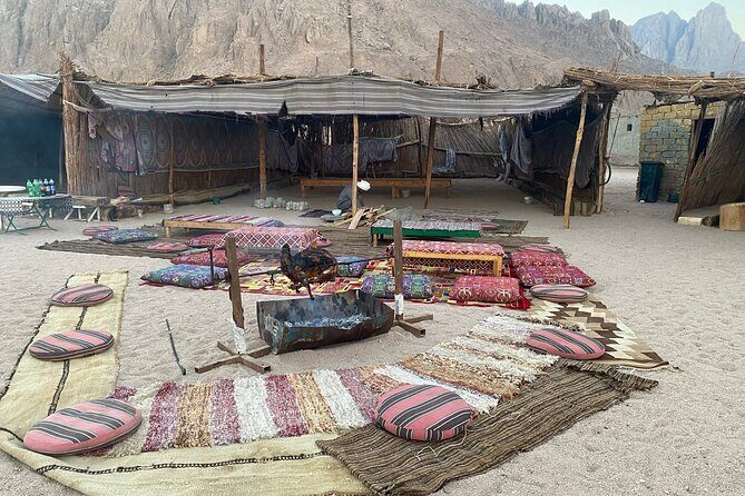 Dining in The Desert - Who Should Consider This Tour?