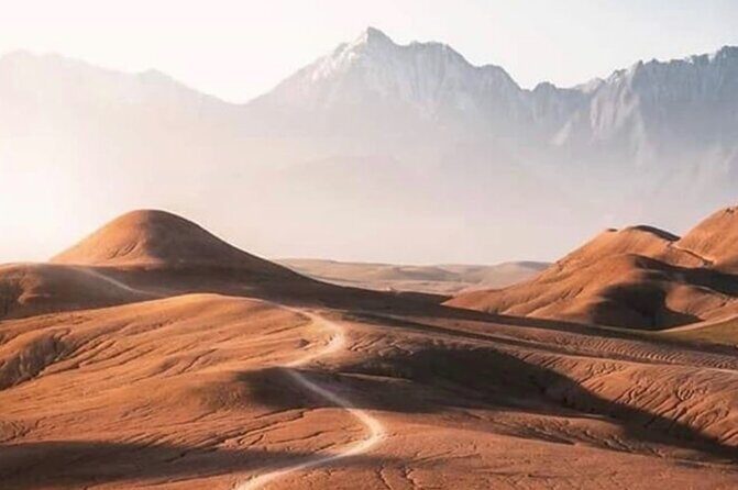 Dinner and Sunset Camel Ride at desert Agafay Marrakech - The Sum Up