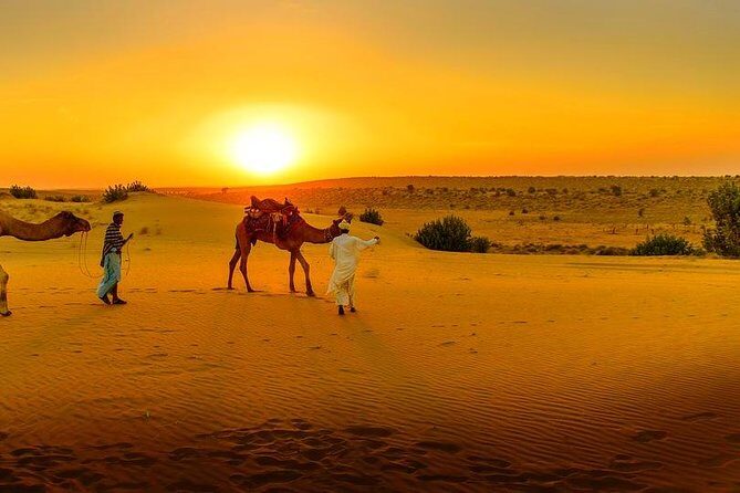 Dinner at Sunset & Camel ride in Marrakech desert Agafa - Authentic Touches & Cultural Insights
