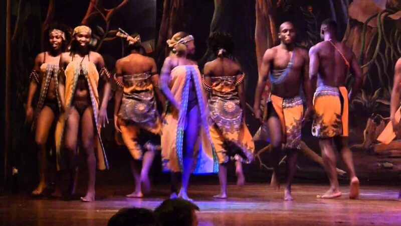 Dinner at the Safari Park Hotel and experiencing cat dance - Practical Details and Tips