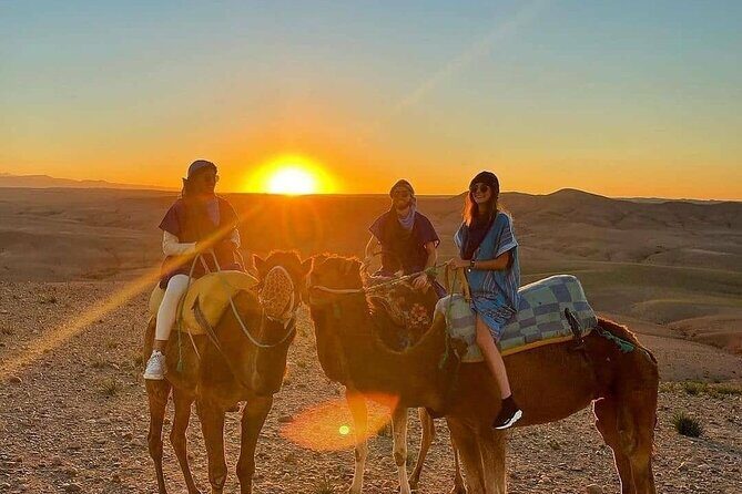 Dinner experience & Sunset with camel ride Tour - An In-Depth Look at the Marrakech Desert Dinner & Sunset Tour