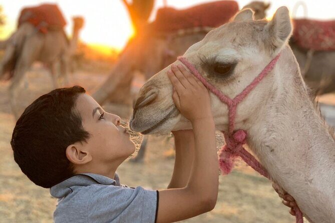 Dinner in Agafay Desert ,Sunset Camel Ride, Fire Show - Who Is This Tour Best For?