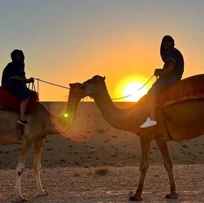 DINNER IN AGAFAY DESERT UNDER THE STARS WITH SHOW AND CAMELS - What to Expect from the Tour