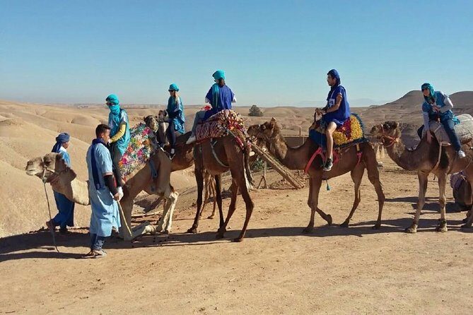 Dinner in Agafay Desert with Camel Ride or Quad Bike - Who Should Book This Tour?