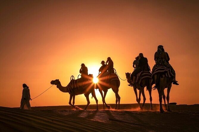 Dinner In Dubai Desert - What Travelers Love About This Tour