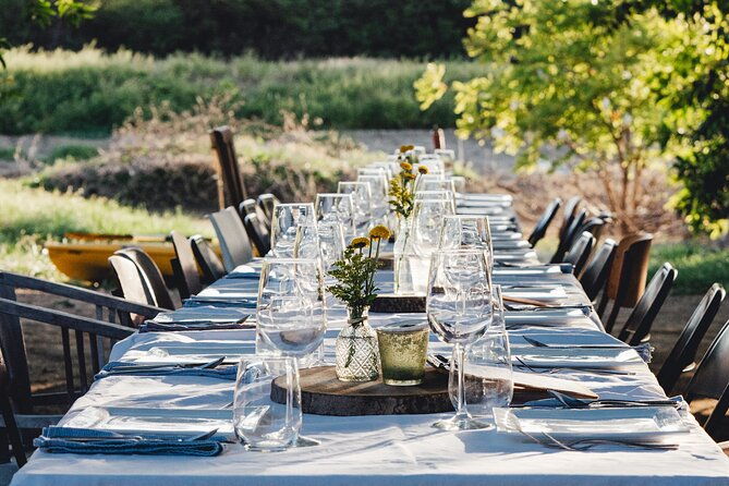 dinner-in-the-field