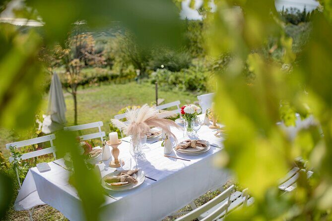 Dinner in the Vineyard French Riviera - Practical Details: Price, Group Size, and Booking