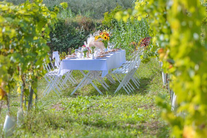 Dinner in the Vineyard French Riviera - What Reviewers Say: Authenticity and Highlights