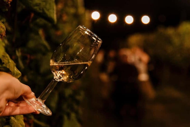 Dinner in the vineyard in Alba with wine tasting aperitif and winery tour - Key Points