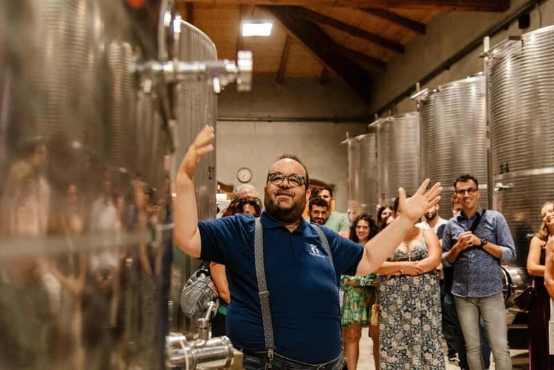 Dinner in the vineyard in Alba with wine tasting aperitif and winery tour - The Itinerary: From Winery Tour to Outdoor Dining