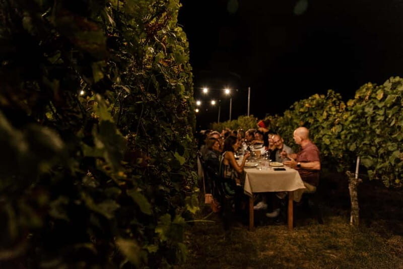 Dinner in the vineyard in Alba with wine tasting aperitif and winery tour - FAQs