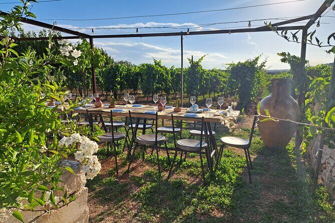 Dinner in the vineyard with wine tasting and walk - Exploring the Experience in Detail