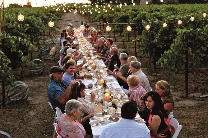 dinner-in-the-vineyards