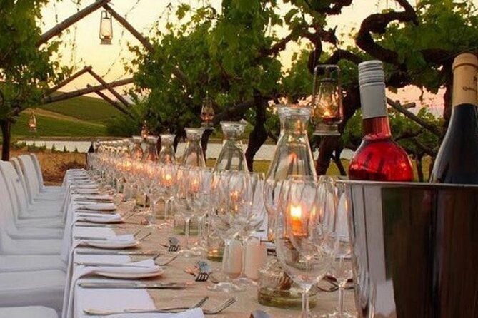 dinner-in-the-vineyards