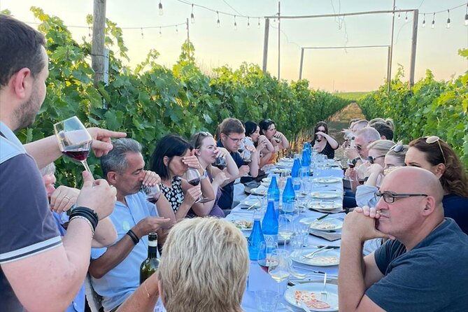 dinner-in-the-vineyards