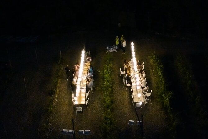 dinner-in-the-vineyards